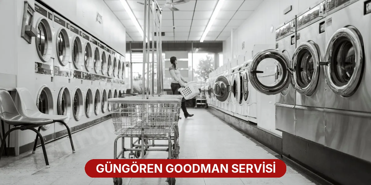 Güngören Goodman Servisi