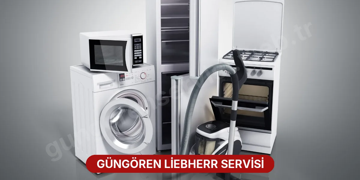 Güngören Liebherr Servisi